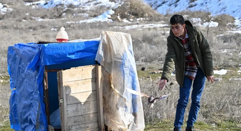 Depremzede gençlerin güvercinleri umuda kanat çırpıyor