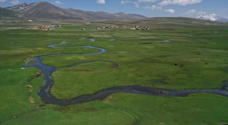 Ağrı'da kar sularıyla beslenen menderesler dronla görüntülendi