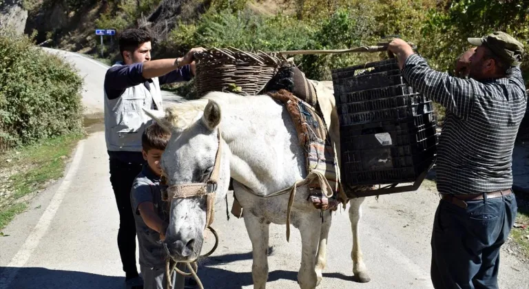 Asırlardır geleneksel yöntemlerle üzüm pekmezi yapıyorlar