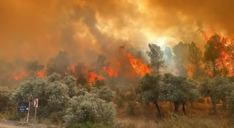 Bakan Kurum'dan orman yangınlarına ilişkin değerlendirme: