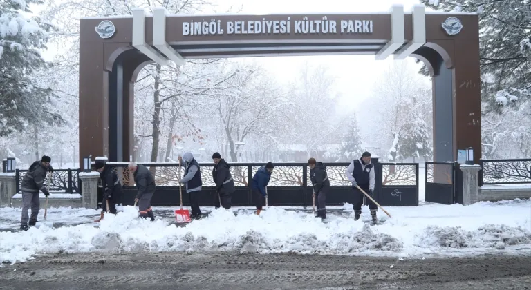 Bingöl ve Şırnak'ta kar nedeniyle 131 yerleşim yerine ulaşım sağlanamıyor