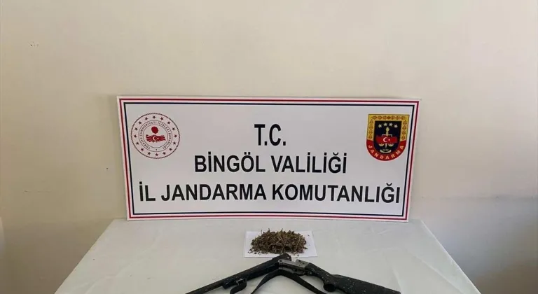 Bingöl'de 6 bin 283 kök Hint keneviri ele geçirildi