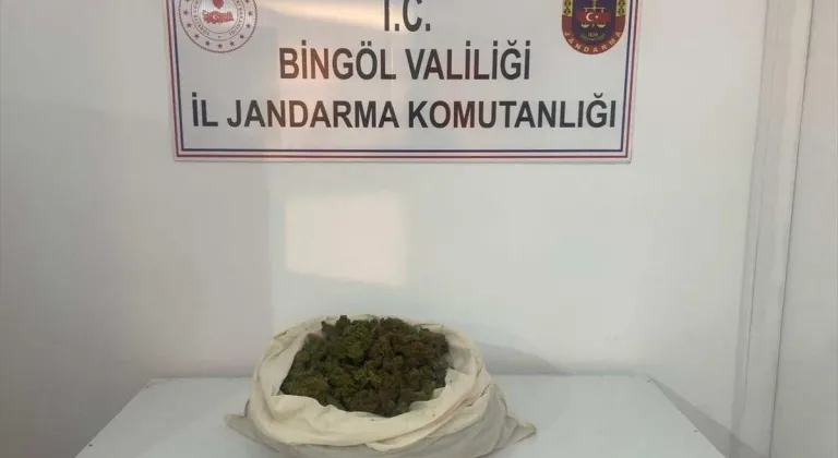 Bingöl'de 815 kök Hint keneviri ve 3 kilo 762 gram esrar ele geçirildi