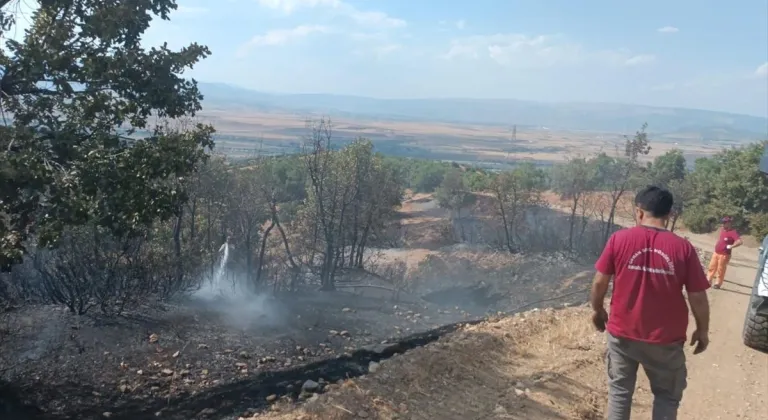 Bingöl'de çıkan orman yangını söndürüldü