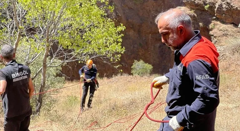 Bingöl'de kayalıklarda mahsur kalan 3 keçiyi AFAD ve jandarma ekipleri kurtardı