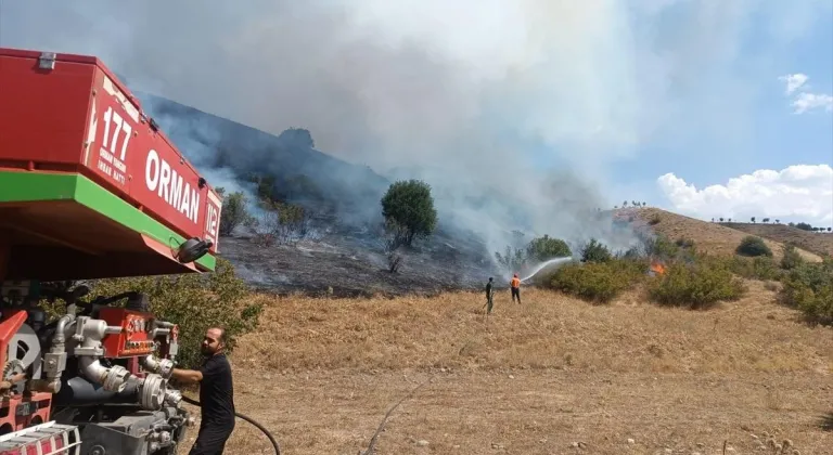 Bingöl'de mera ve ormanlık alanda çıkan yangın söndürüldü