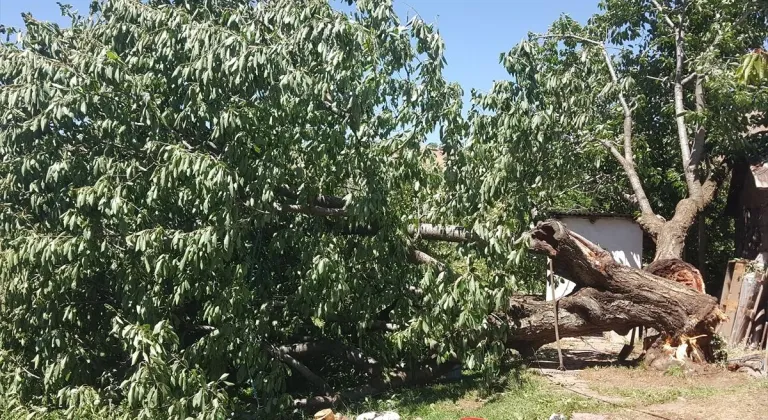 Bingöl'de şiddetli rüzgar hasara neden oldu