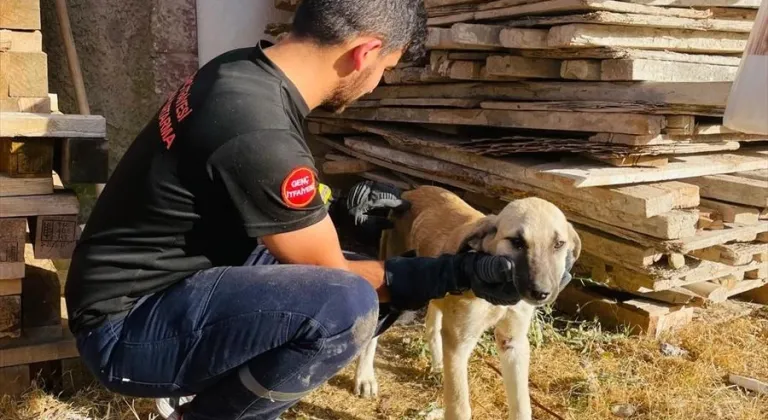 Bingöl'de tahtaların arasına sıkışan köpek kurtarıldı