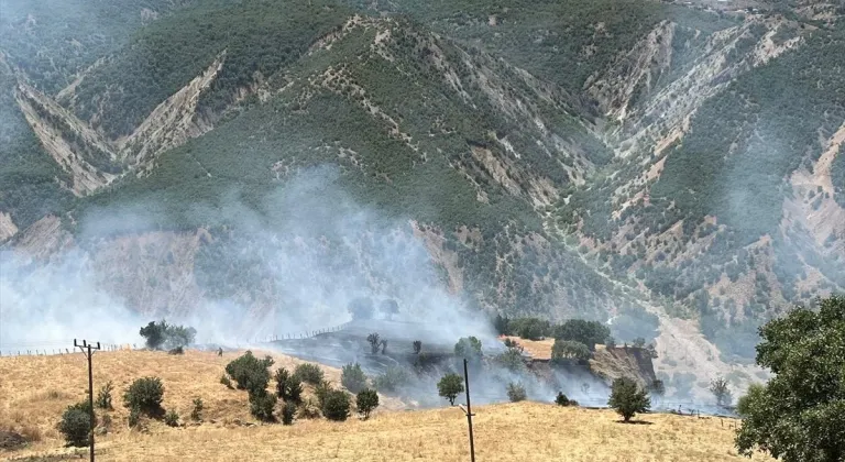 Bingöl'ün 2 ilçesinde çıkan orman yangınları söndürüldü