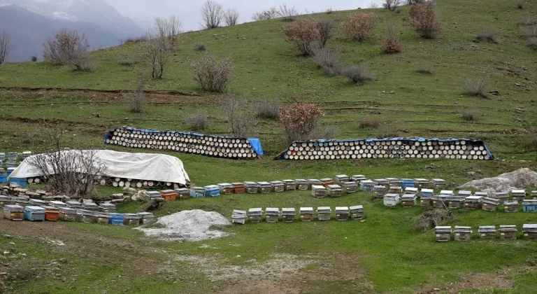 Bitlis balı, Paris'teki yarışmada "Altın Bal" ödülü aldı