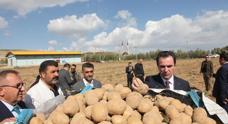 Bitlis Valisi Karakaya, patates hasadına katıldı