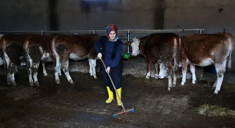 Bitlisli kadın girişimci büyükbaş hayvan sayısını 2 yılda 6'ya katladı