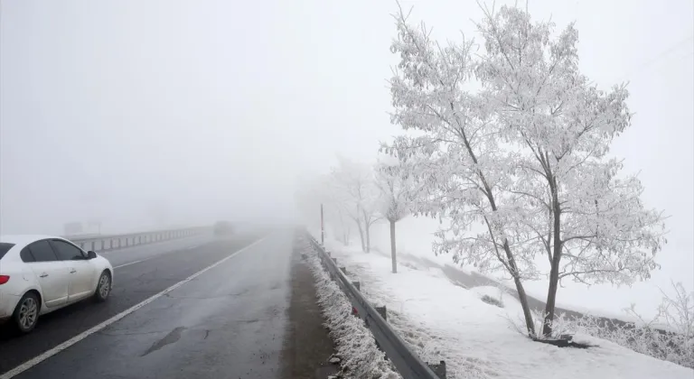 Bitlis'te sis ve soğuk hava etkili oldu