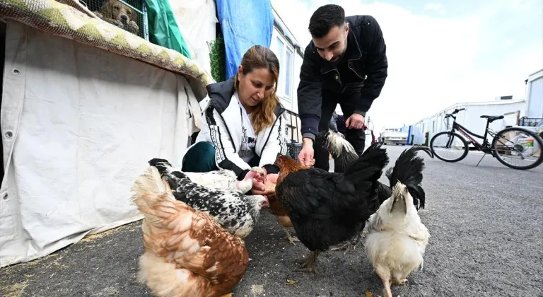 Depremzede çift, hayvan sevgisini konteyner kente taşıdı