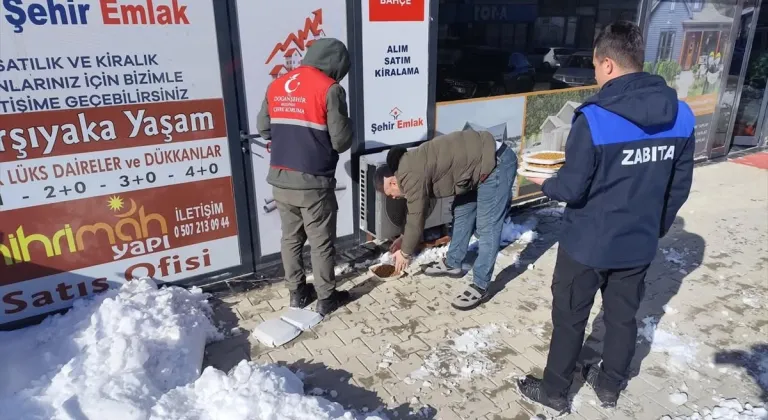 Doğanşehir'de sokak hayvanları için sokak ve caddelere yem bırakıldı