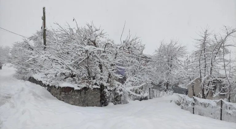 Elazığ ve Bingöl'de 92 yerleşim yerine ulaşım sağlanamıyor