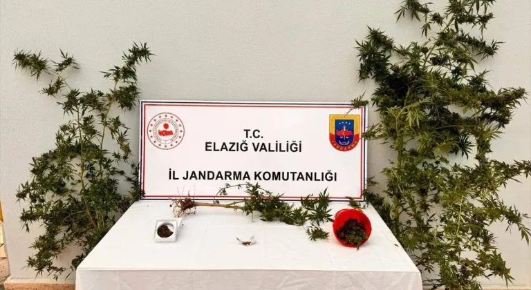 Elazığ'da bahçesine Hint keneviri eken şüpheli yakalandı