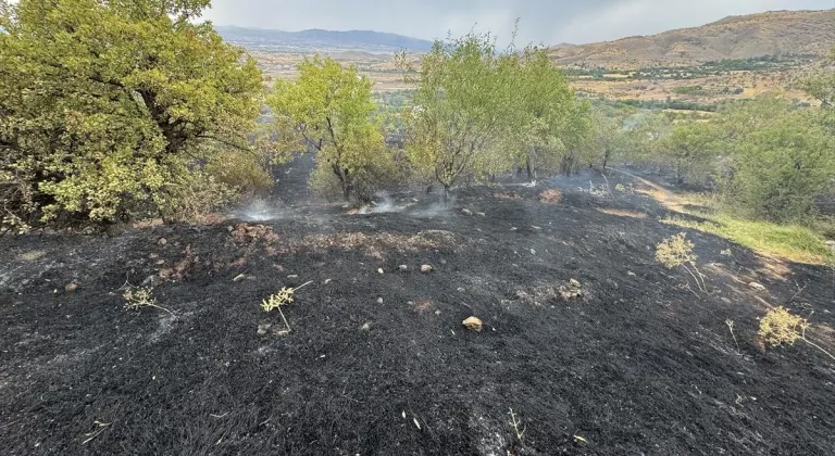 Elazığ’da çıkan yangında 150 dönüm tarım arazisi zarar gördü