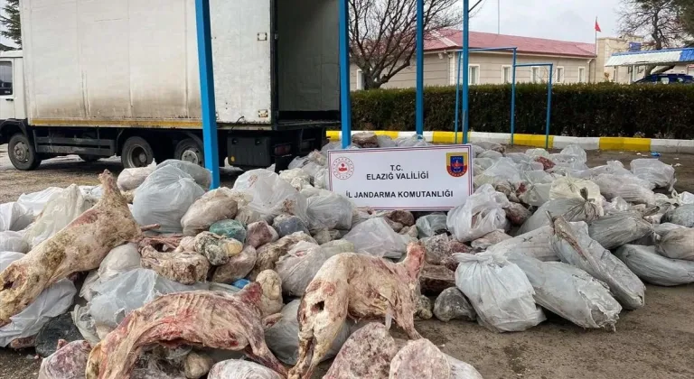 Elazığ'da kamyon kasasında 5 ton 880 kilogram kaçak et ele geçirildi