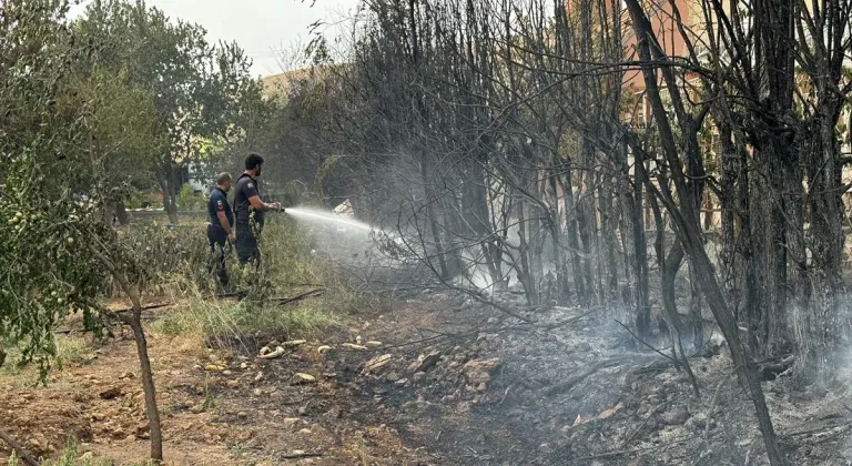 Elazığ'da kırsal arazide çıkan ve yerleşim yerlerindeki bahçelere sıçrayan yangın söndürüldü