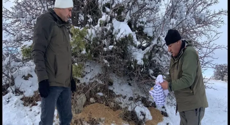 Elazığ'da yaban hayvanları için doğaya yem bırakıldı