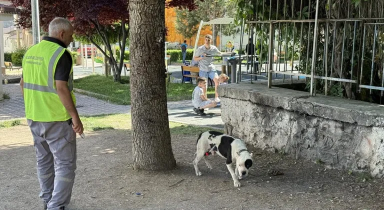 Elazığ'daki bakımevinde 8 yılda 6 bin 18 köpek kısırlaştırıldı