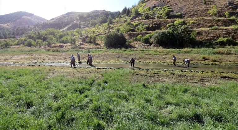 Elazığ'dan Doğu ve Güneydoğu Anadolu'daki göl ve göletlere 25 milyon sazan yavrusu takviyesi