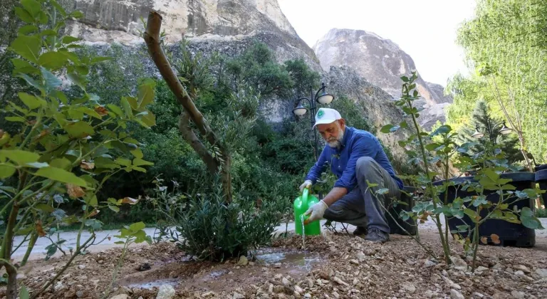 Emekli esnaf, 5 yılda 18 şehirde fidan dikim etkinliklerine katıldı