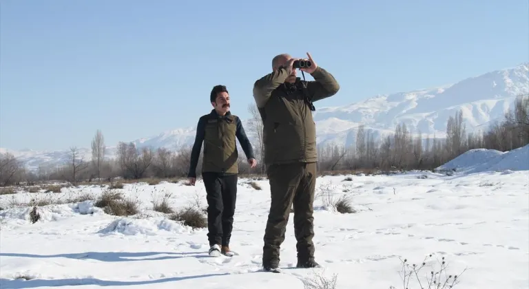 Erzincan'da doğa koruma ekipleri yaban hayatı için kaçak avcıların izini sürüyor