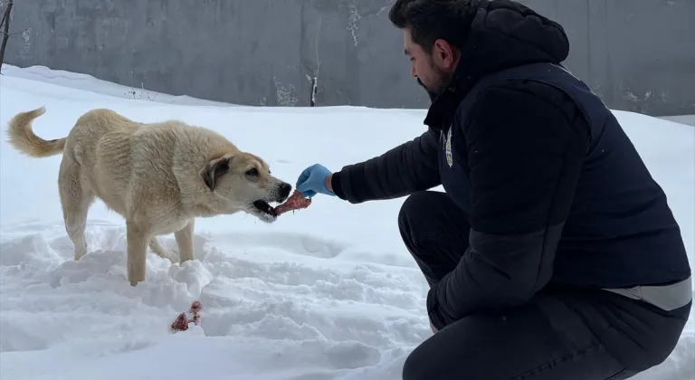 Erzincan'da polisler, sahipsiz hayvanlar için belirli noktalara yiyecek bıraktı