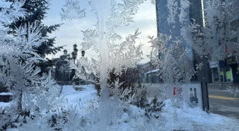 Erzurum, Ağrı, Kars, Ardahan ve Tunceli'de dondurucu soğuklar etkisini sürdürüyor