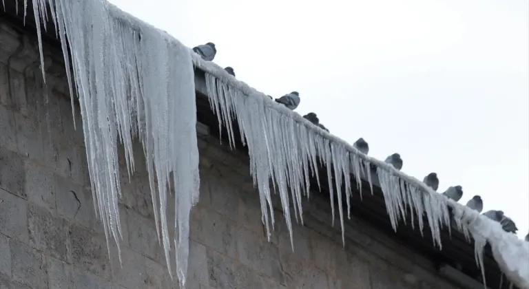 Erzurum, Ağrı, Tunceli ile Ardahan'da soğuk hava ve sis etkili oldu