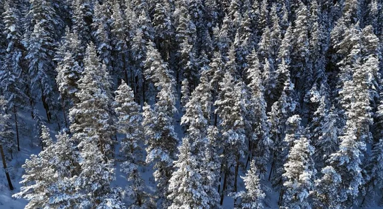 Erzurum, Ardahan, Ağrı ve Kars'ta soğuk hava hakim