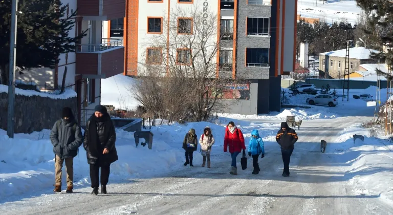 Erzurum, Ardahan, Kars ile Ağrı'da dondurucu soğuklar etkisini sürdürüyor