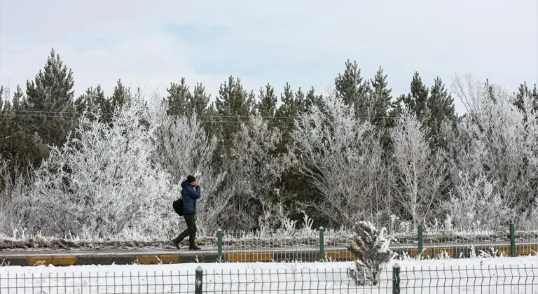 Erzurum, Ardahan, Kars ve Tunceli'de kar, Iğdır'da ise soğuk hava etkili oldu