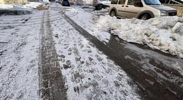 Erzurum, Ardahan ve Kars'ta kar yağışı ve soğuk hava etkili oluyor