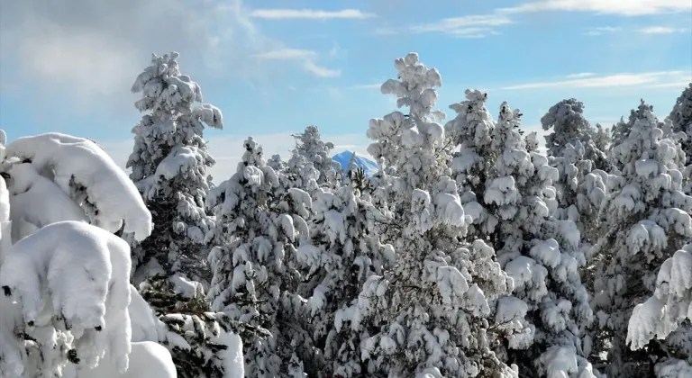 Erzurum, Ardahan ve Kars'ta soğuk hava etkili oluyor