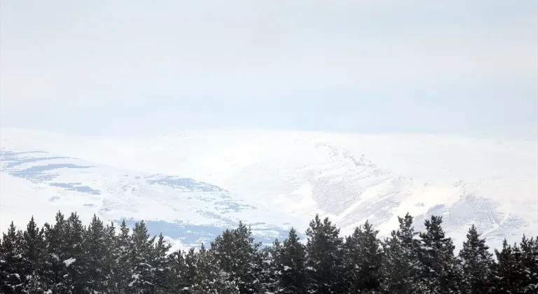 Erzurum, Kars ve Ardahan'da kar ile soğuk hava etkili oluyor