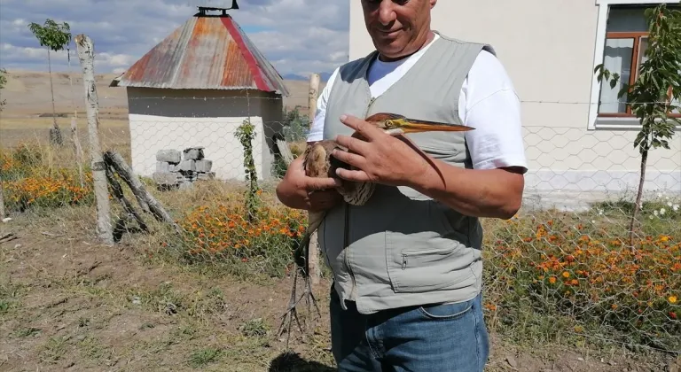 Erzurum'da bahçede tellere takılı bulunan erguvani balıkçıl tedaviye alındı