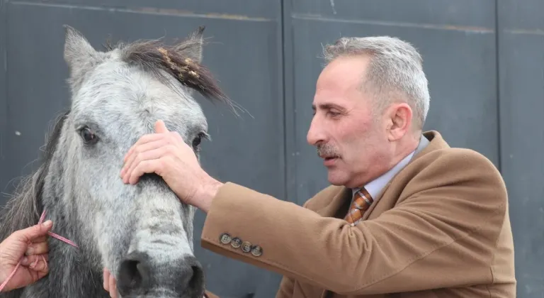 Erzurum'da "soğuktan dondu" diye görüntüleri paylaşılan atın ayağının kırık olduğu anlaşıldı