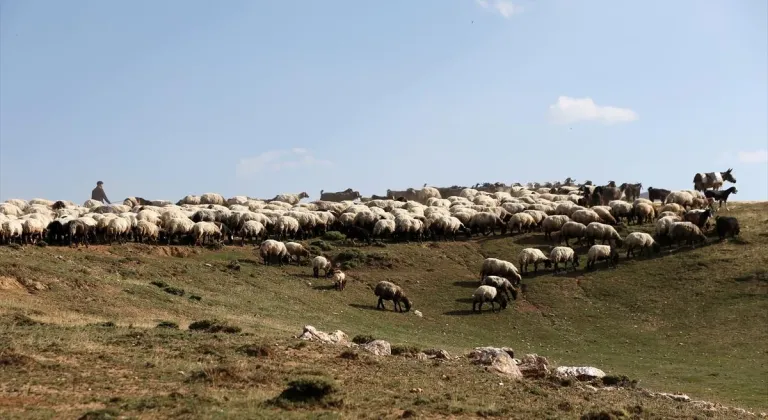 Göçer kadınların hayatı zorluklarla mücadeleyle geçiyor