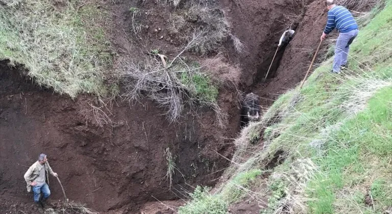 Güroymak'ta dağlık alandaki yarığa düşen 3 manda kurtarıldı