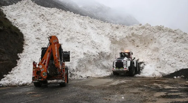 Hakkari-Çukurca kara yolu çığ nedeniyle kapandı