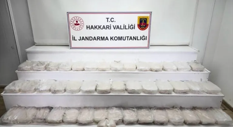 Hakkari'de 49 kilogram sentetik uyuşturucu ele geçirildi