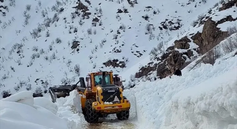 Erzurum ve Ardahan'da 42 yerleşim yerine ulaşım sağlanamıyor