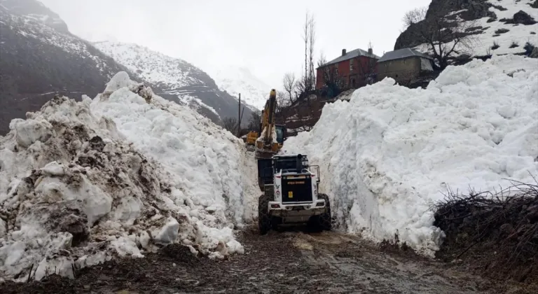 Hakkari'de çığ nedeniyle kapanan yol açıldı