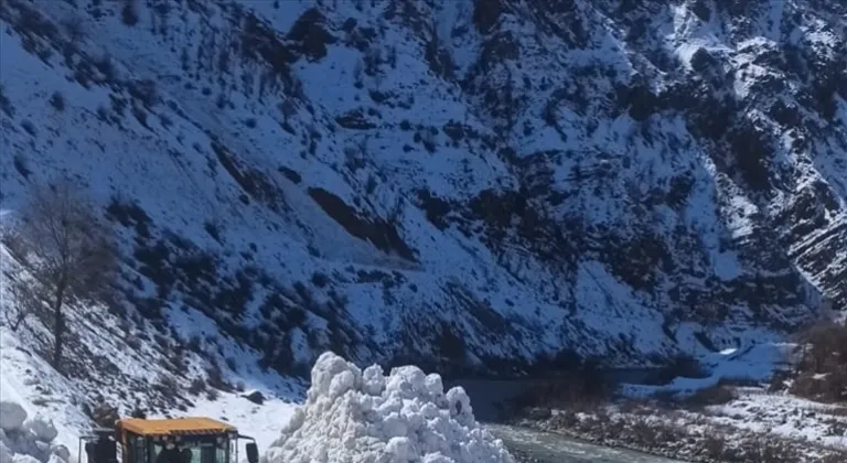 Hakkari'de çığ nedeniyle kapanan yol ulaşıma açıldı