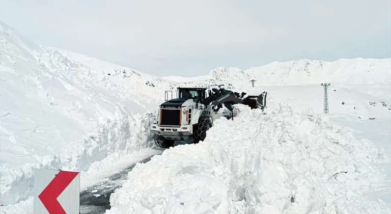 Hakkari'de çığ nedeniyle kapanan yolar açıldı