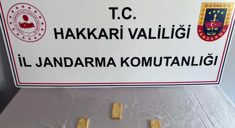 Hakkari'de minibüsteki bir yolcunun ayakkabılarında 3 kilo külçe altın ele geçirildi