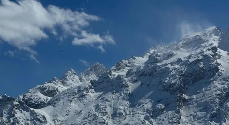 Hakkari'de yaban hayvanları için doğaya yiyecek bırakıldı